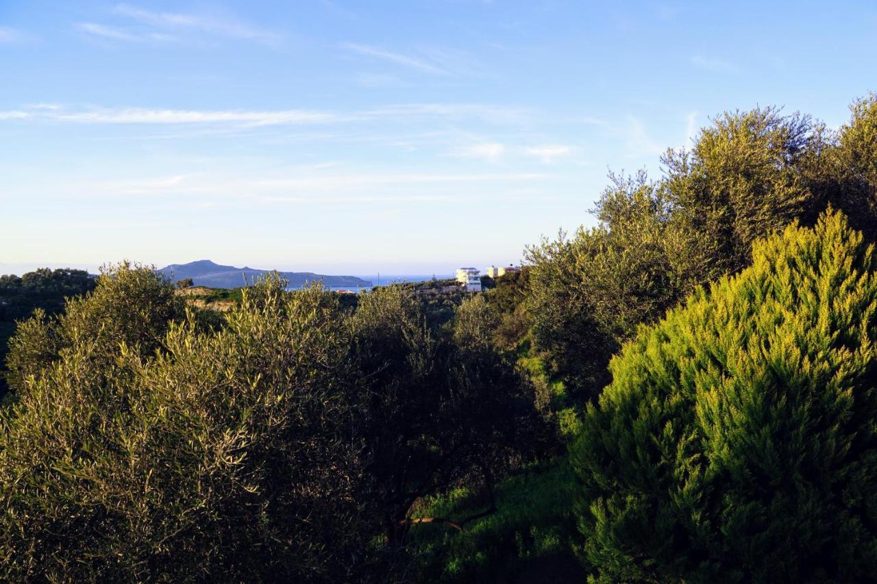 Olive Tree Hillside Apartment Stalós Exterior foto